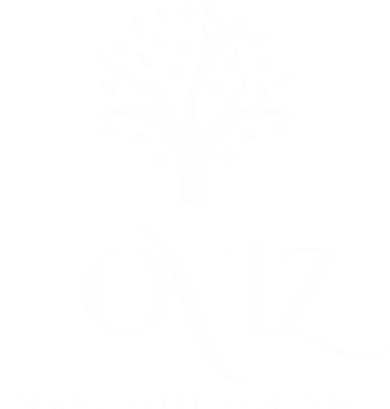 Soviz — Seguros · Riesgos · Advisory
